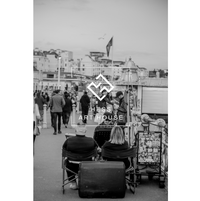 Seaside Moments