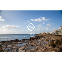 Rocky Shores