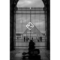 Louvre Echoes